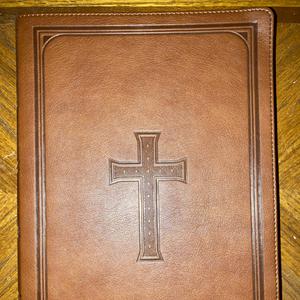 KJV Daily Bible Reading - Psalms