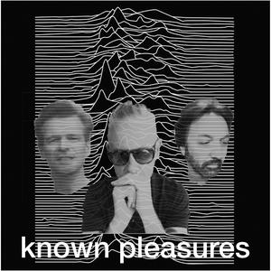 Listen to Known Pleasures in the App