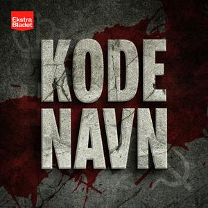 Kodenavn