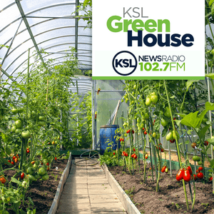 Listen to KSL Greenhouse in the App