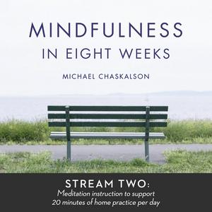 Mindfulness in 8 Weeks: 20 Minutes a Day Program