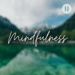 Mindfulness: Meditation, Positive Affirmations, Mindset Mentor, Happier