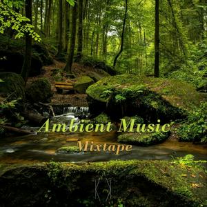 Listen to 冥想正念 | 享受一小时的静谧安然（Ambient Music Mixtape) in the App