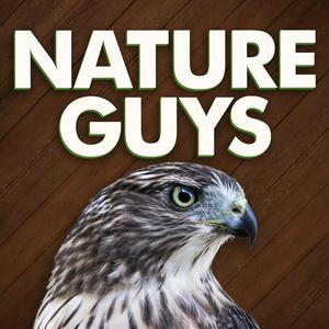 Listen to Nature Guys in the App