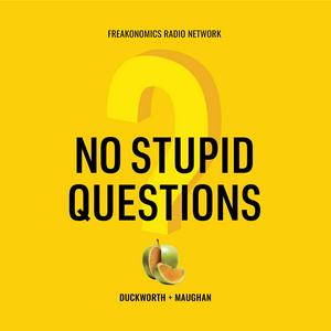 Listen to No Stupid Questions in the App