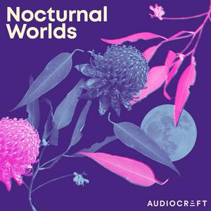 Nocturnal Worlds