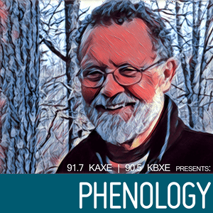 Phenology