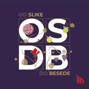 Od slike do besede