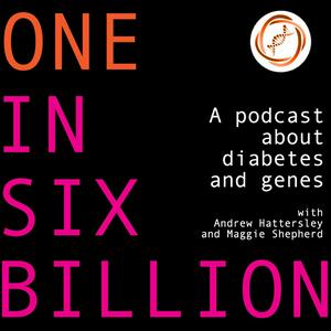 Listen to One in Six Billion in the App