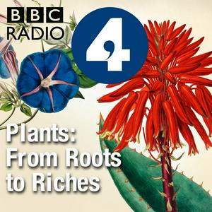 Listen to Plants: From Roots to Riches in the App