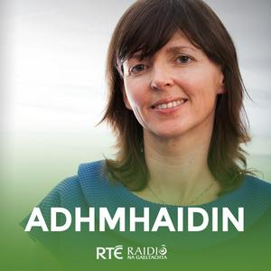 Adhmhaidin