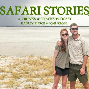 Listen to Safari Stories in the App