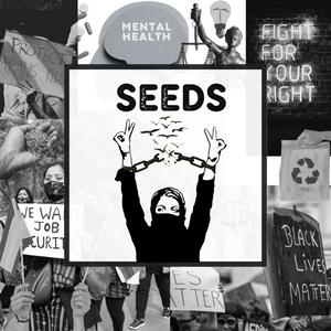 Seeds IRL