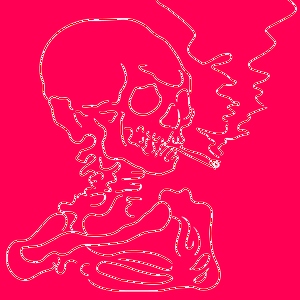 SLEERICKETS