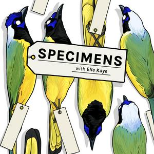 Listen to Specimens in the App