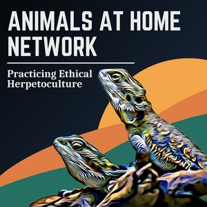 Listen to Animals at Home Network in the App