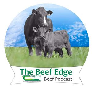 Listen to The Beef Edge in the App