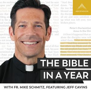 Listen to The Bible in a Year (with Fr. Mike Schmitz) in the App