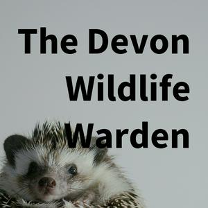 Listen to The Devon Wildlife Warden in the App