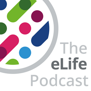 Listen to The eLife Podcast in the App