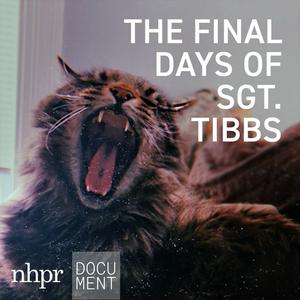 Listen to The Final Days of Sgt. Tibbs in the App