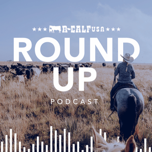 Listen to The R-CALF USA Round Up in the App