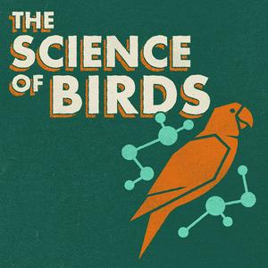 Listen to The Science of Birds in the App