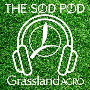 Listen to The Sod Pod in the App