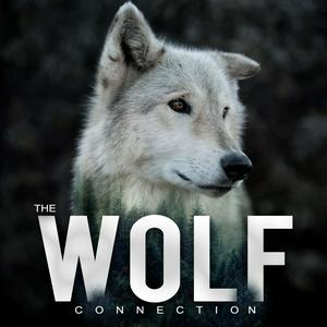 Listen to The Wolf Connection in the App