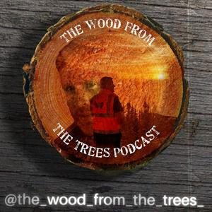 Listen to The Wood From The Trees in the App