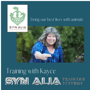Training With Kayce