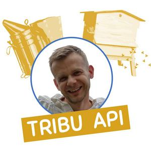 Listen to Tribu Api par Mes Premières Ruches in the App