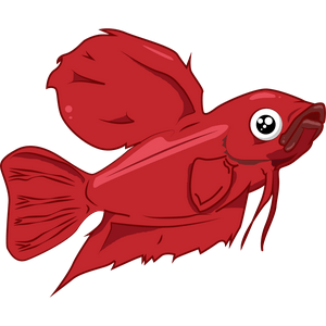 Listen to Tropical Fish Keeping UK in the App