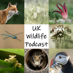 Listen to UK Wildlife Podcast in the App