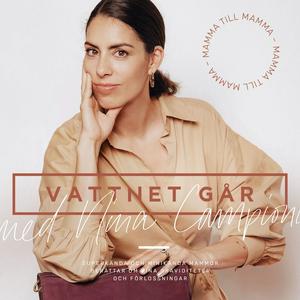 Listen to Vattnet går in the App