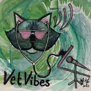 Vet Vibes