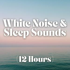 Listen to White Noise and Sleep Sounds (12 Hours) in the App