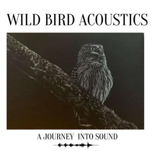 Listen to Wild Bird Acoustics in the App