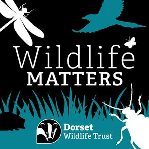 Listen to Wildlife Matters in the App