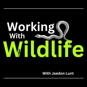 Working With Wildlife