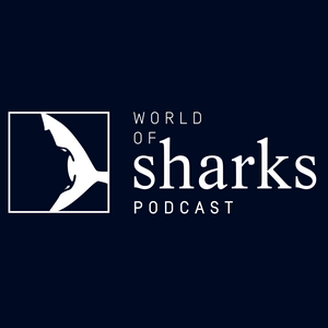 Listen to World of Sharks in the App