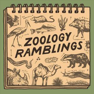 Listen to The Zoology Ramblings Podcast in the App